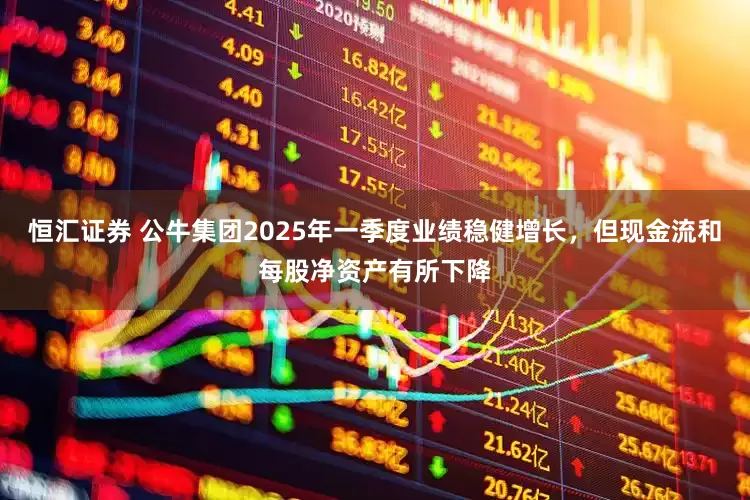 恒汇证券 公牛集团2025年一季度业绩稳健增长，但现金流和每股净资产有所下降